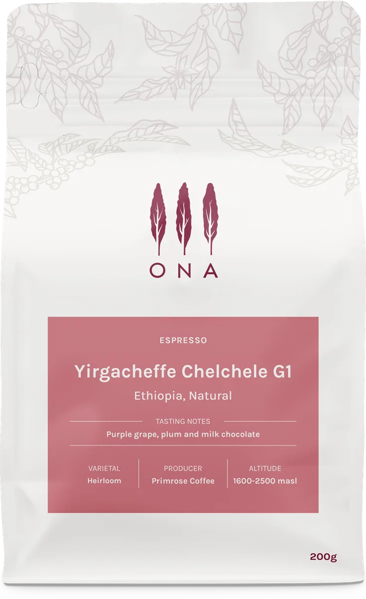 yirgacheffe chelchele g1, ethiopia, natural - ethiopia coffee by ona
