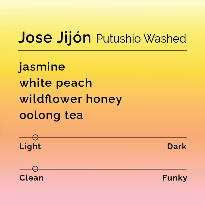 jose jijón - putushio washed coffee by black & white coffee roasters