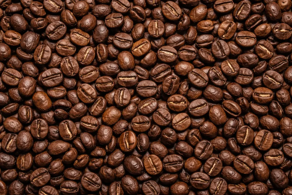 past crops roasted coffee beans - indonesia + sumatra coffee by pt. indonesia specialty coffee
