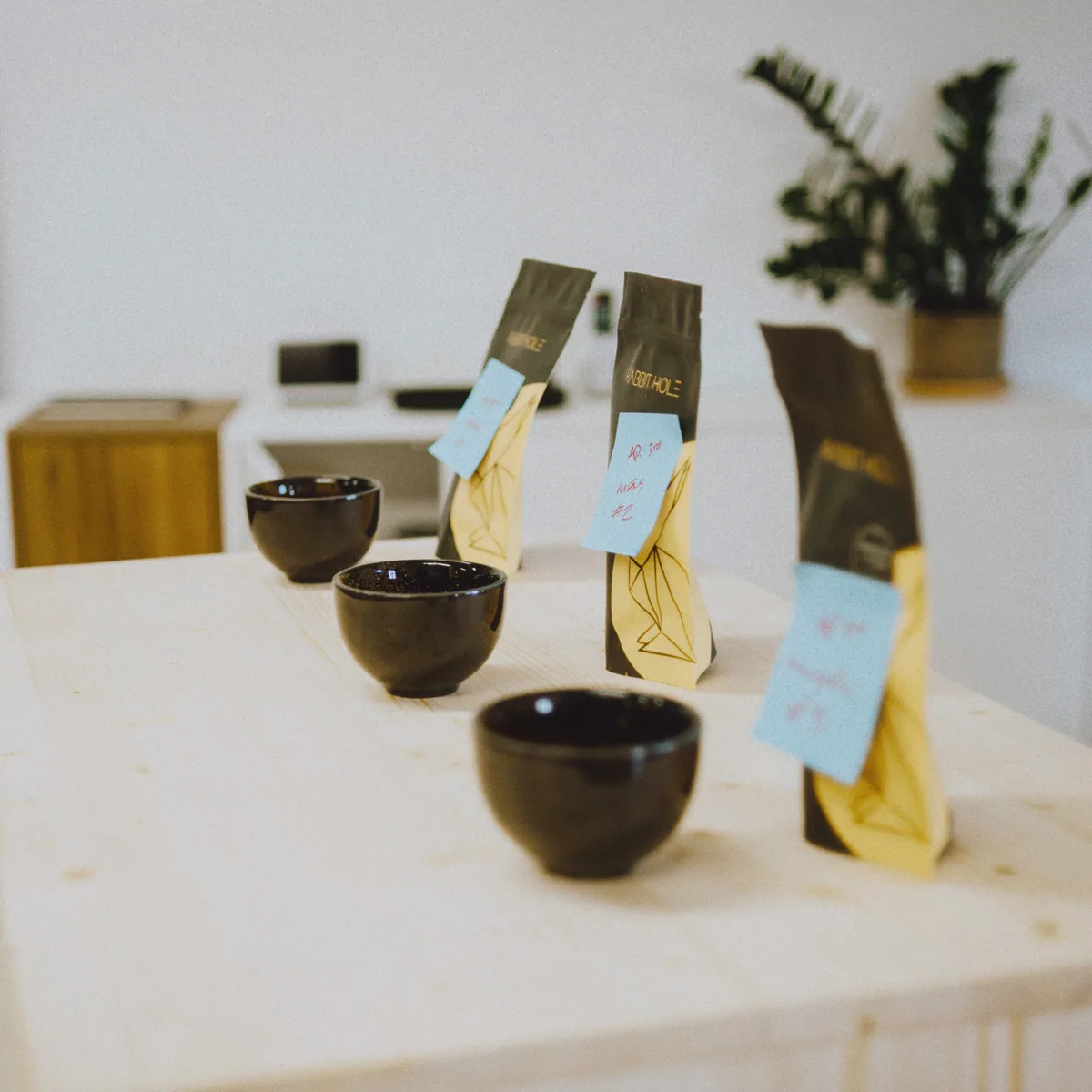 beyond tasting 101 : basics to sensory coffee by rabbit hole roasters