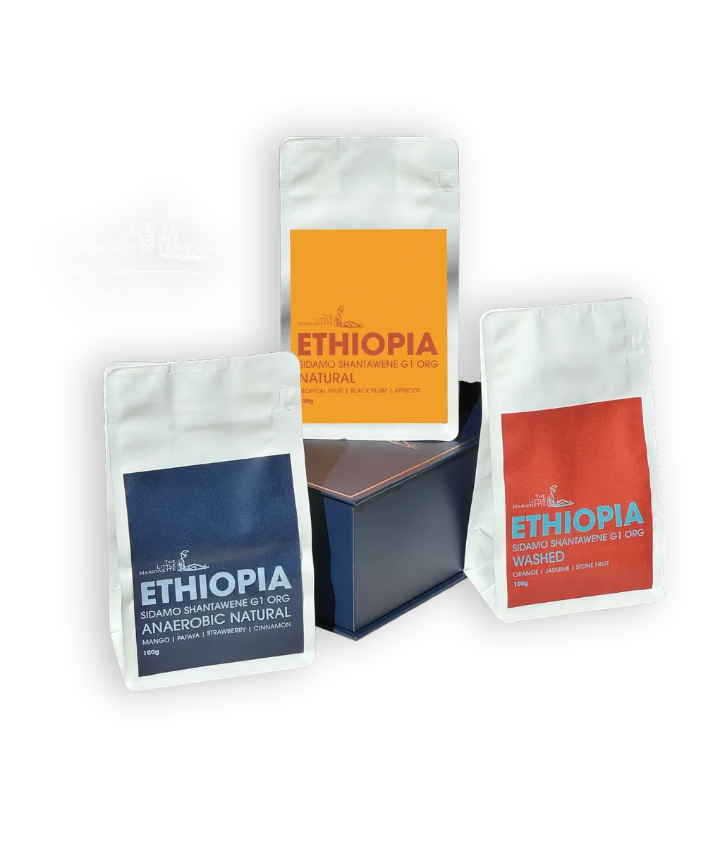 limited edition single origin pack | ethiopia sidamo shantawene coffee by the little marionette coffee roastery