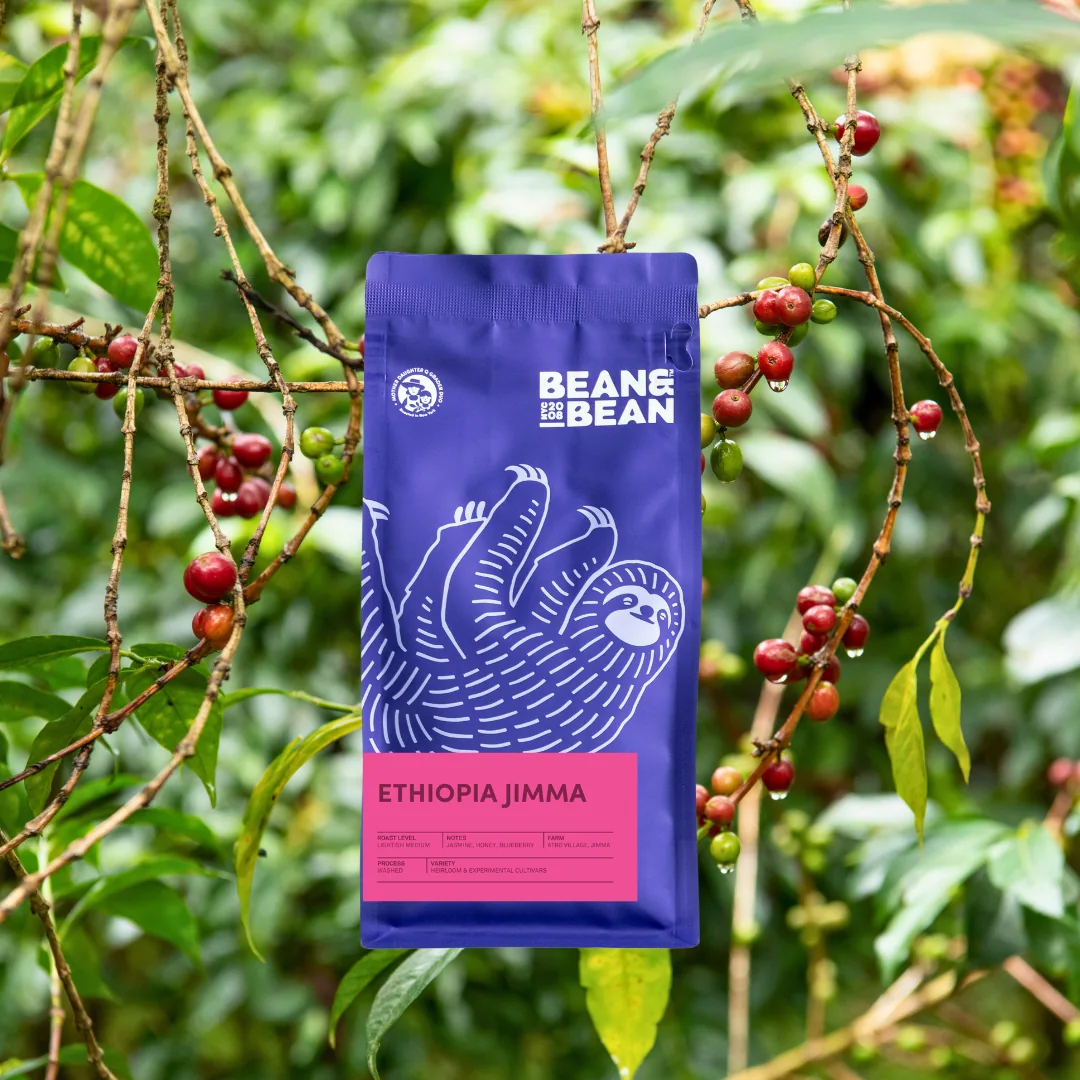ethiopia jimma coffee by bean & bean queens — roastery & cafe