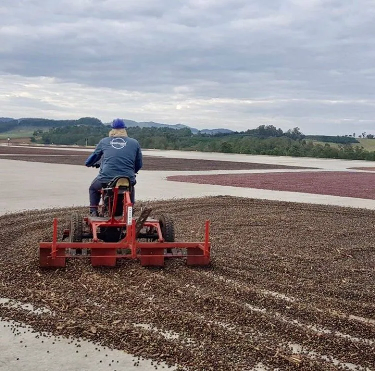 ⚡new⚡ brazil ipanema fazenda conquista rfa - brazil coffee by lucas coffee roasters