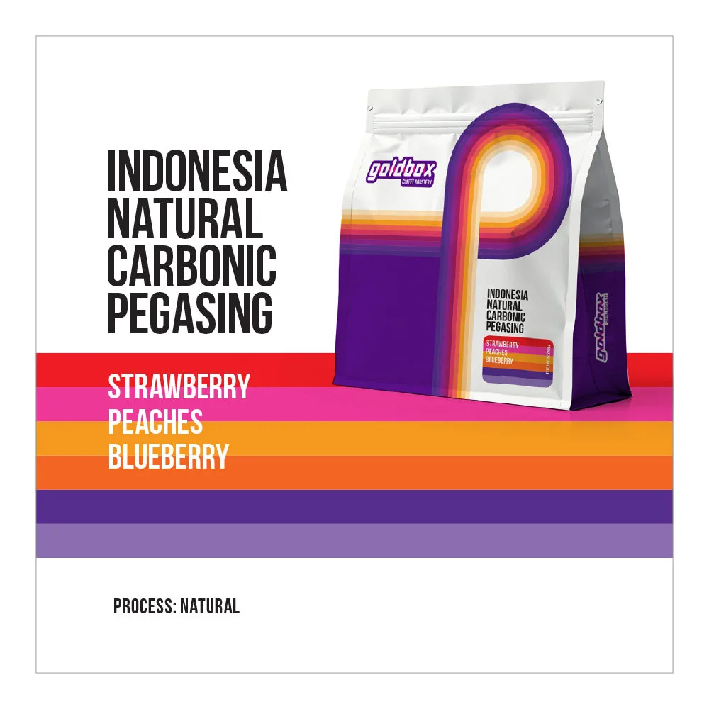 indonesia team pegasing cm coffee by gold box roastery