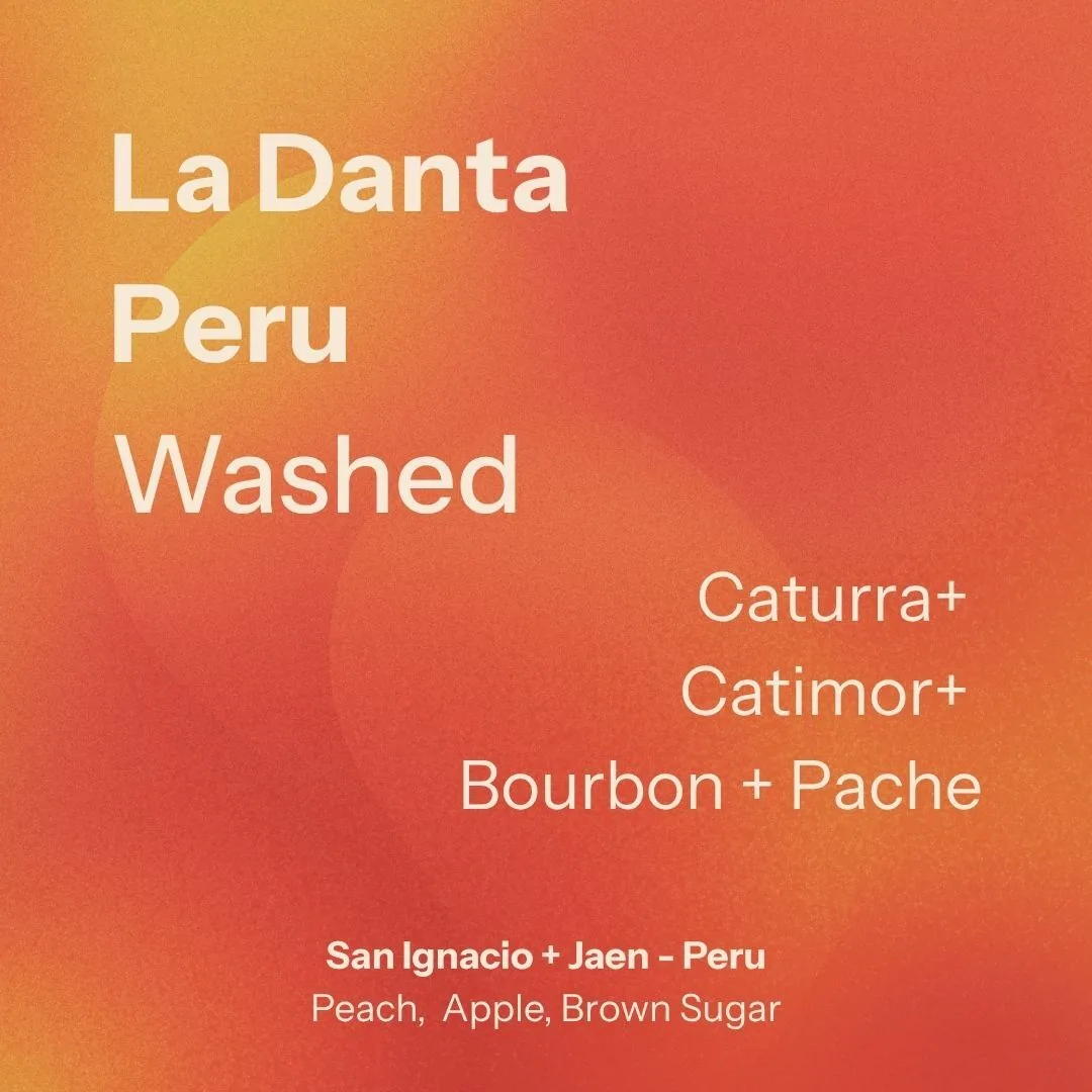 la danta (peru) coffee by nostos coffee