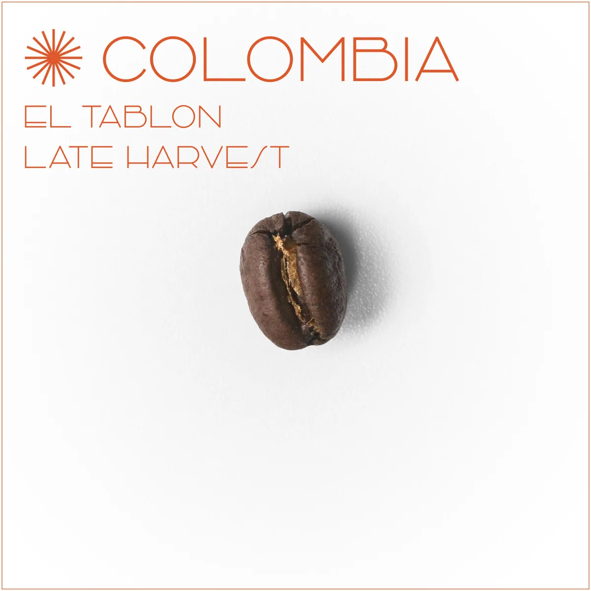 콜롬비아 엘 타블론 레이트 하베스트 - colombia coffee by el cafe coffee roasters