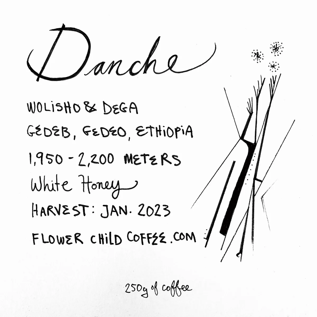 danche white honey coffee by flower child