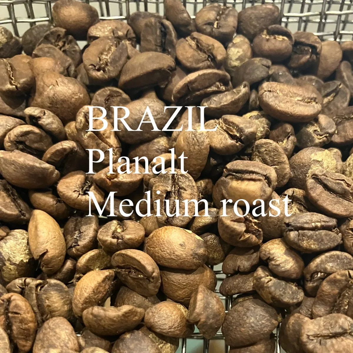 ブラジル浅煎り・プラナウト・ミディアムロースト 200g/brazil・planalt coffee by jupiters coffee roasters