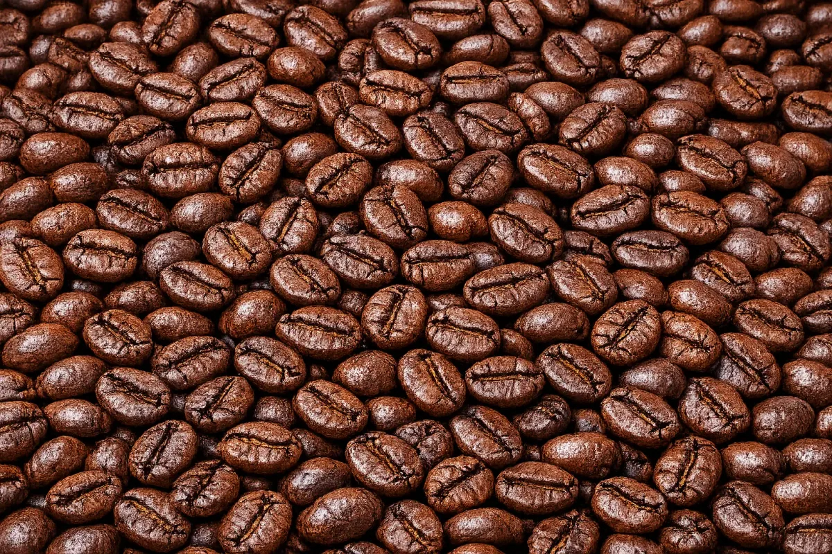 kalosi roasted coffee beans - indonesia coffee by pt. indonesia specialty coffee