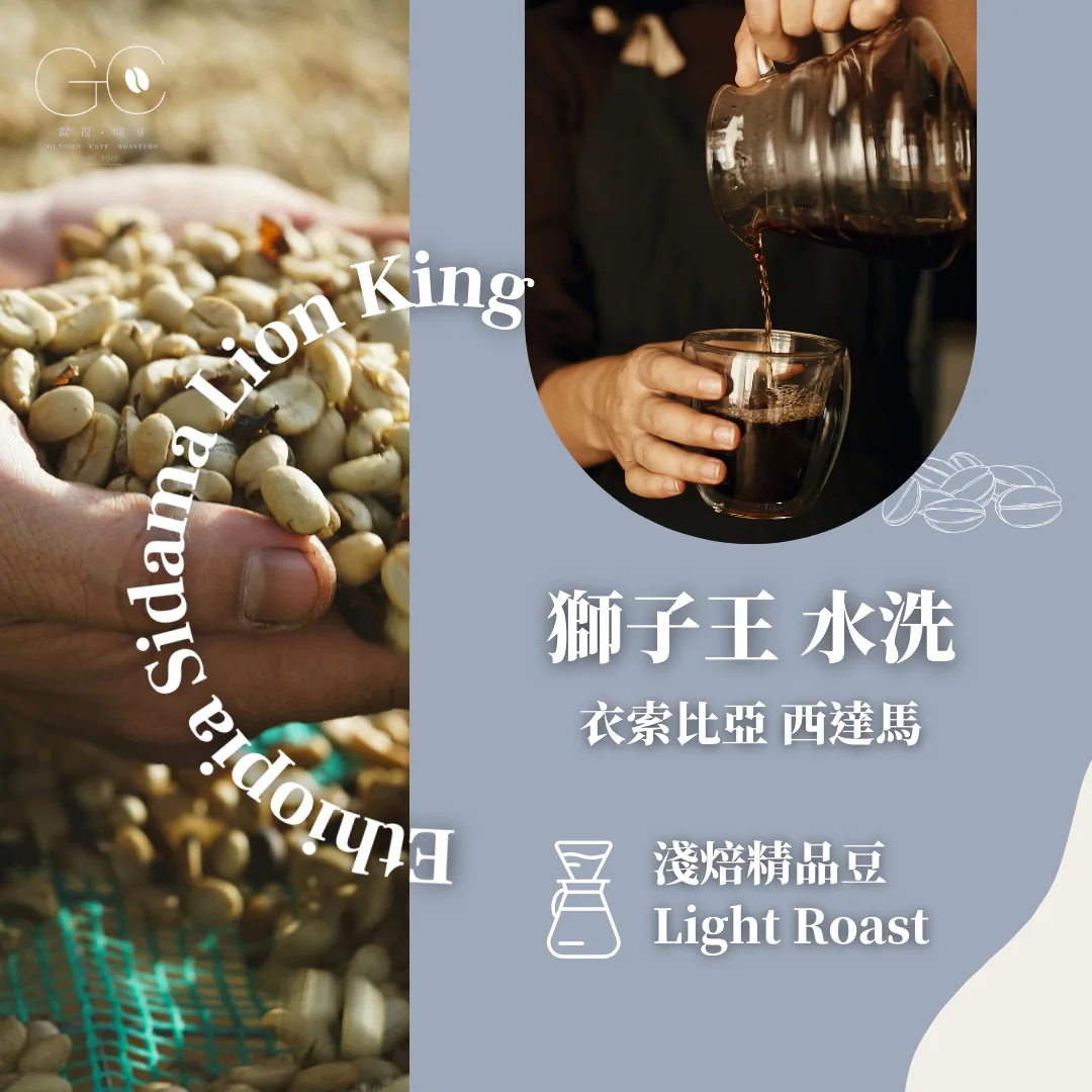 淺焙|衣索比亞 西達馬 獅子王 水洗 ethiopia sidama lion king washed coffee by gazecafe