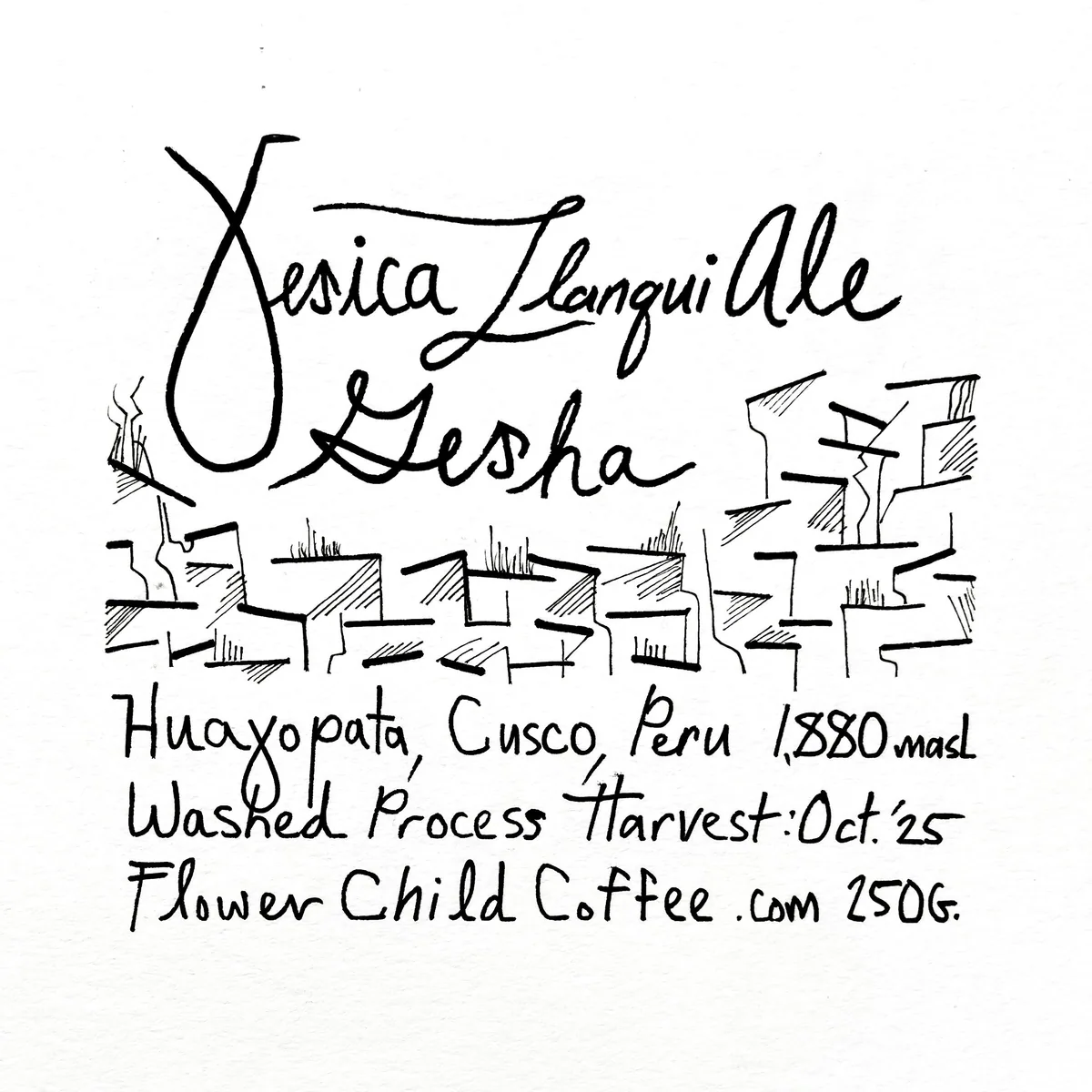 yesica ale llanqui - gesha coffee by flower child