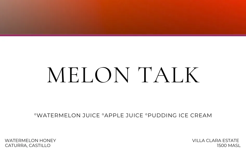 melon talk coffee by degree c cafe + roastery