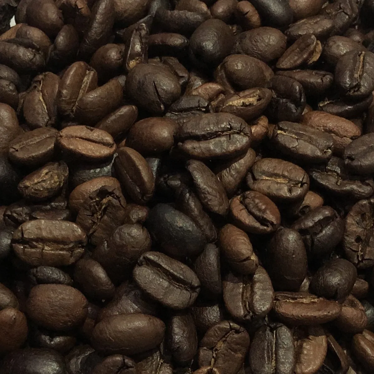 roasted robusta lampung - indonesia + sumatra coffee by pt. indonesia specialty coffee