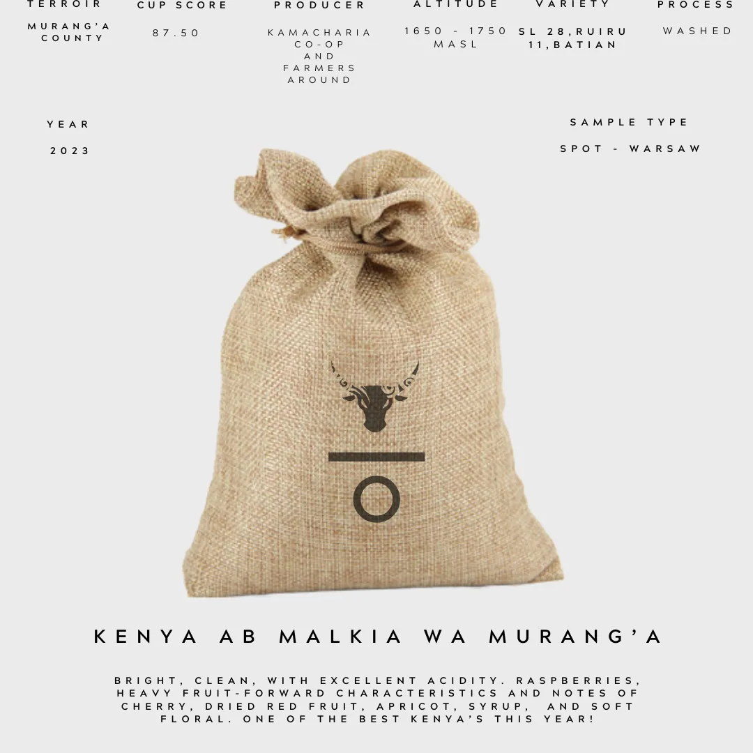 sacred origins - kenya ab malkia wa murang’a green coffee coffee by sacred mill coffee roasters