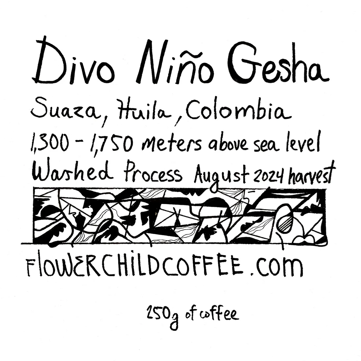 divo niño gesha - colombia coffee by flower child
