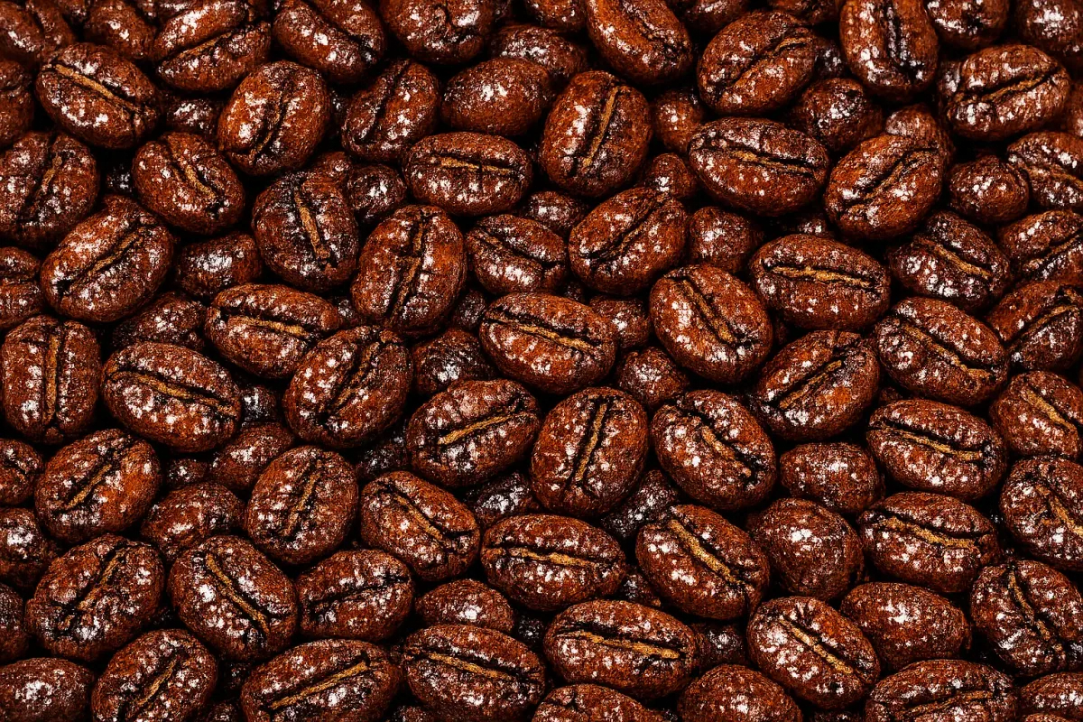 gayo honey roasted coffee beans - sumatra coffee by pt. indonesia specialty coffee