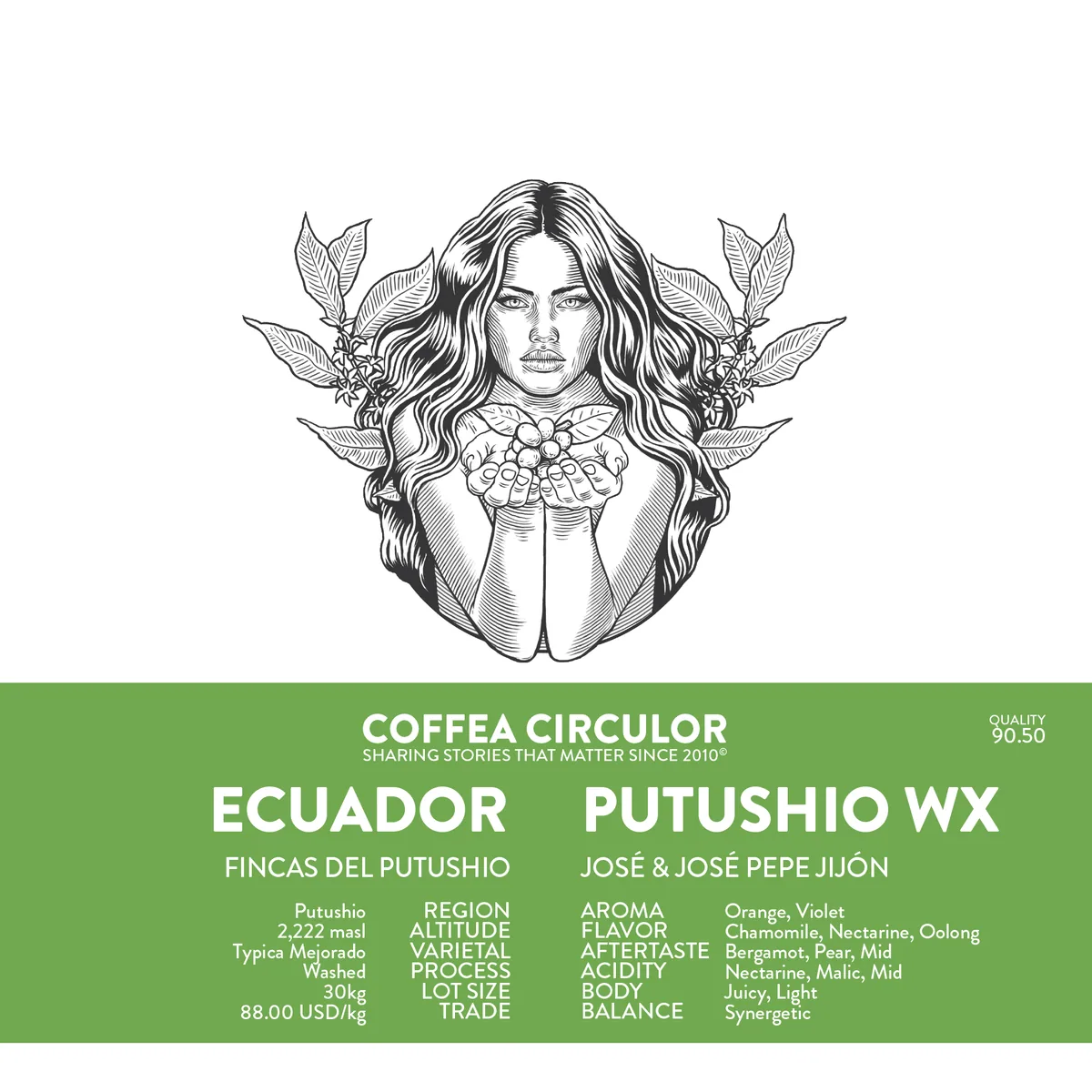ecuador putushio jose pepe jijon typica mejorado washed wx - ecuador coffee by coffea circulor