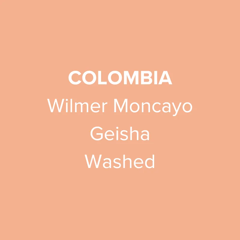 colombia wilmer moncayo geisha washed - colombia coffee by oma