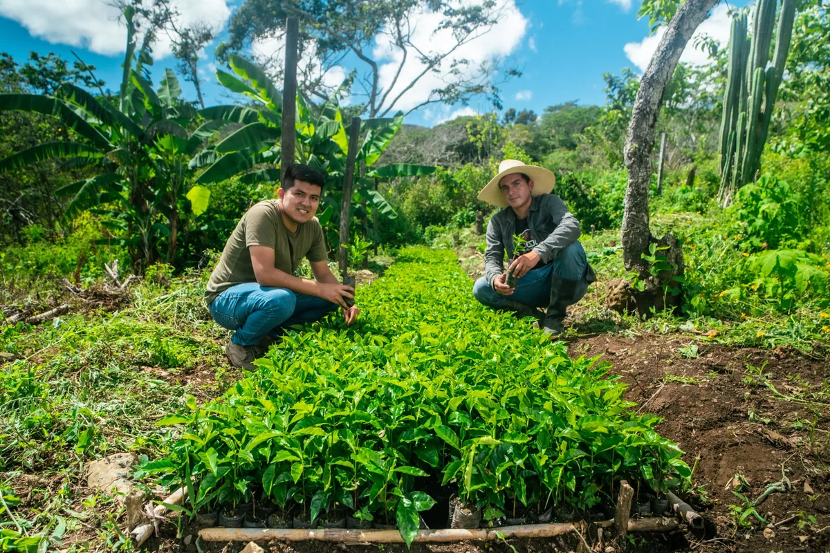 querofinca - peru coffee by the fix coffee roasters