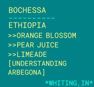 bochessa - ethiopia coffee by botz coffee