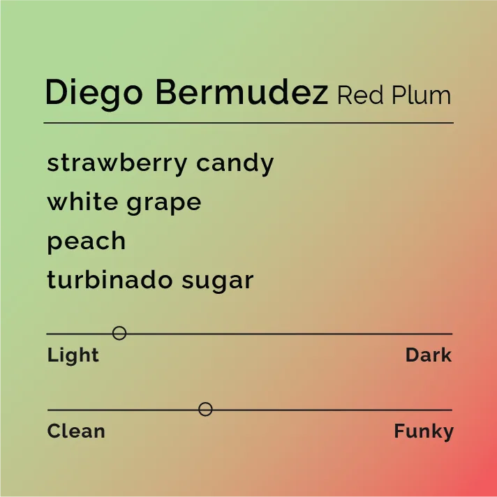 diego bermudez - red plum coffee by black & white coffee roasters