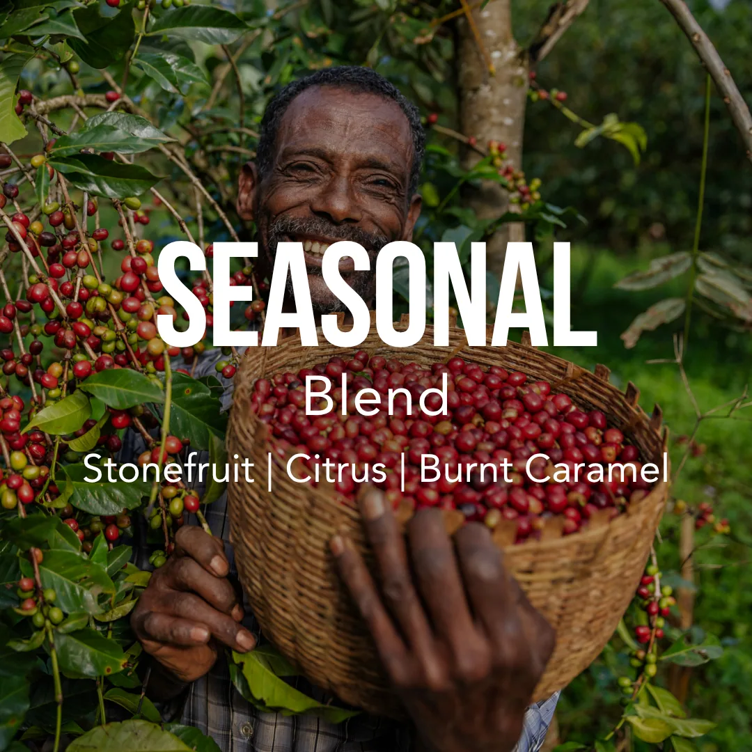 seasonal blend coffee by excelso coffee