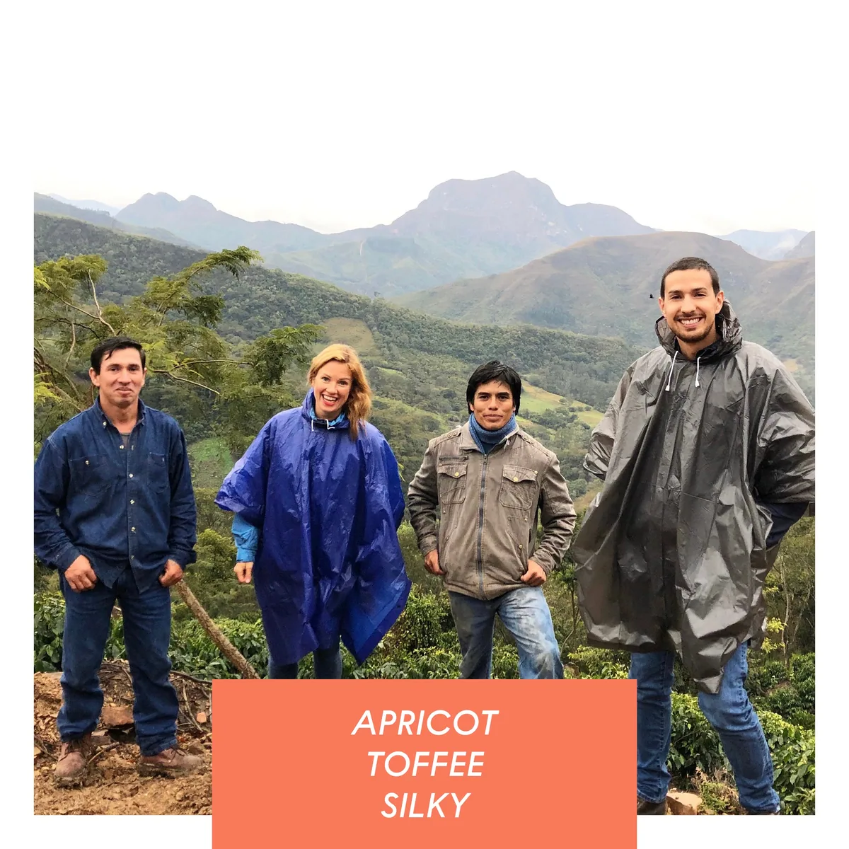 samaichacha, washed pacamara, bolivia coffee by drop coffee roasters