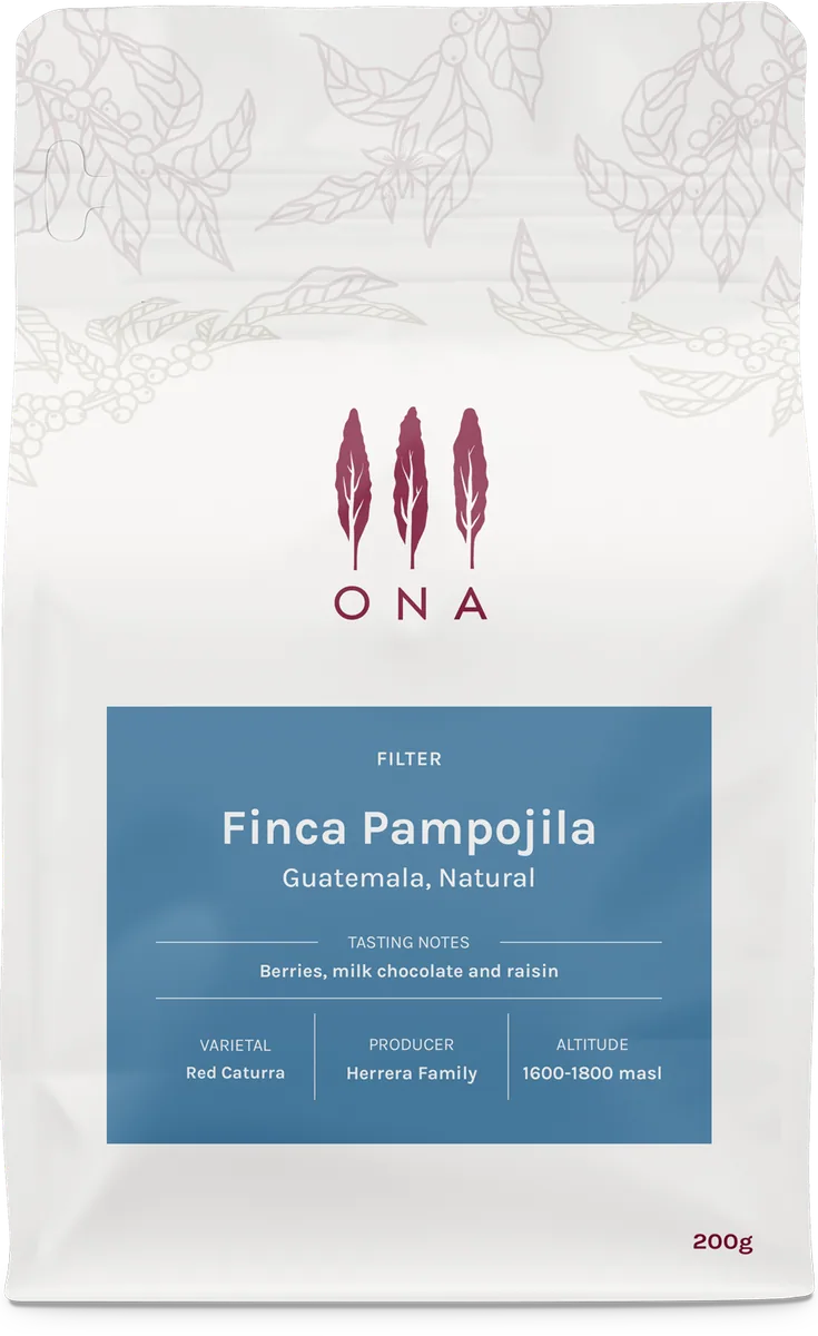 finca pampojila, guatemala, natural coffee by ona