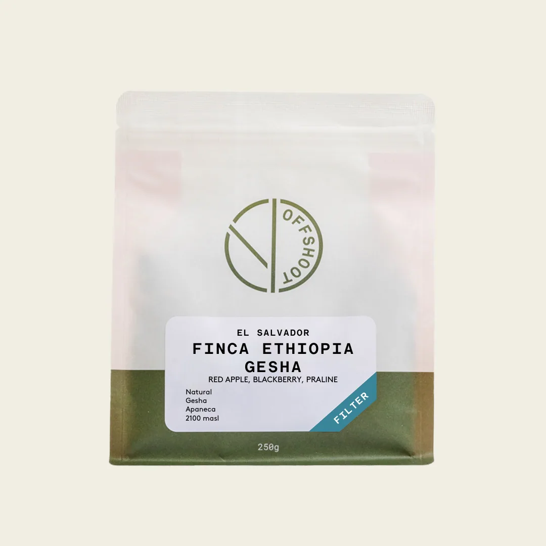 finca ethiopia - gesha coffee by offshoot coffee