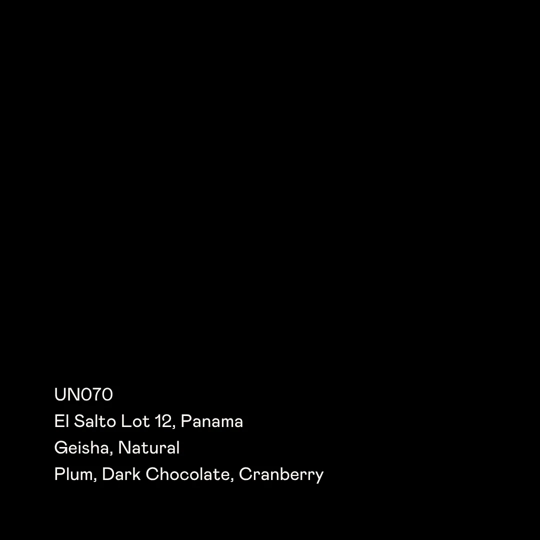un070 - el salto lot 12, geisha natural coffee by special guests