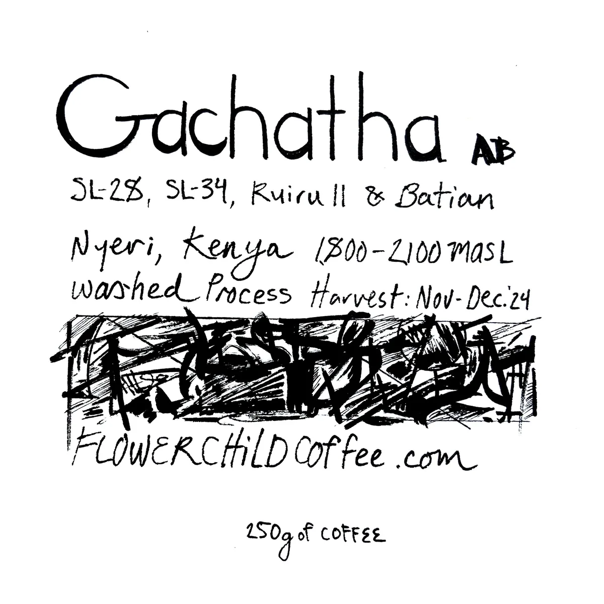 gachatha - kenya coffee by flower child