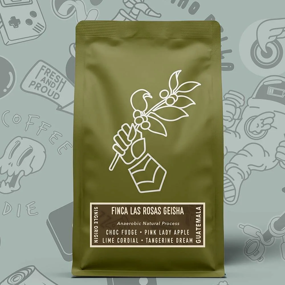 guatemala finca las rosas geisha coffee by cavalier coffee roasters & cafe