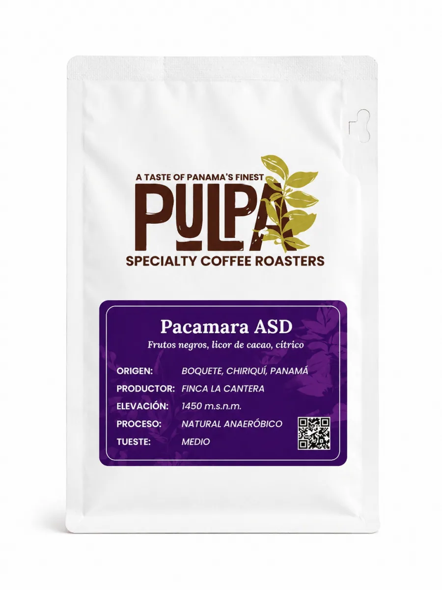 pacamara asd – café de especialidad de panamá - panama coffee by pulpa