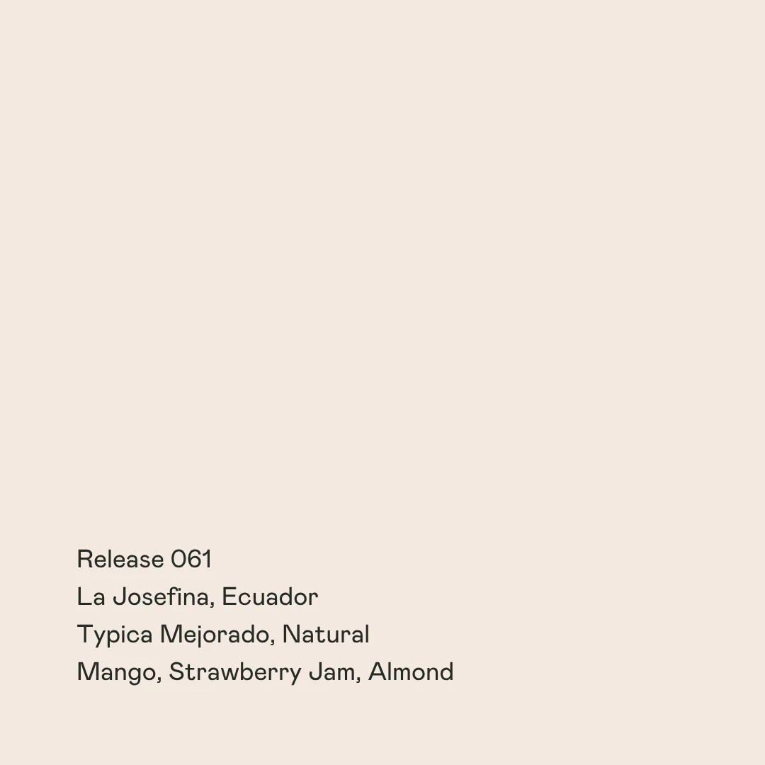 release 061 - la josefina, typica mejorado natural coffee by special guests