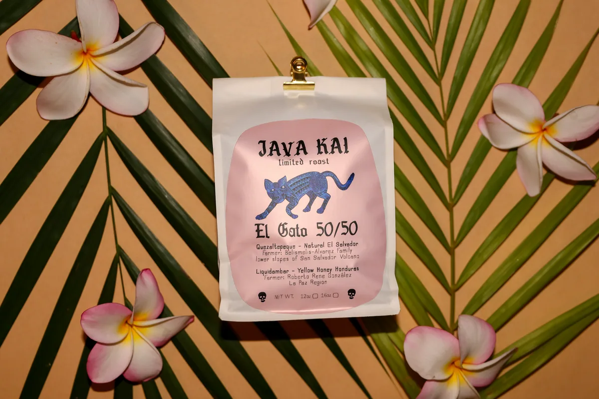 el gato 50/50 - light and bright coffee by java kai