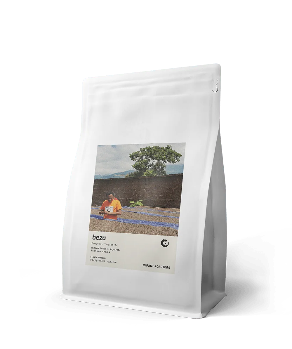 coffee beans - beza - yirgachefe - ethiopia coffee by impact roasters