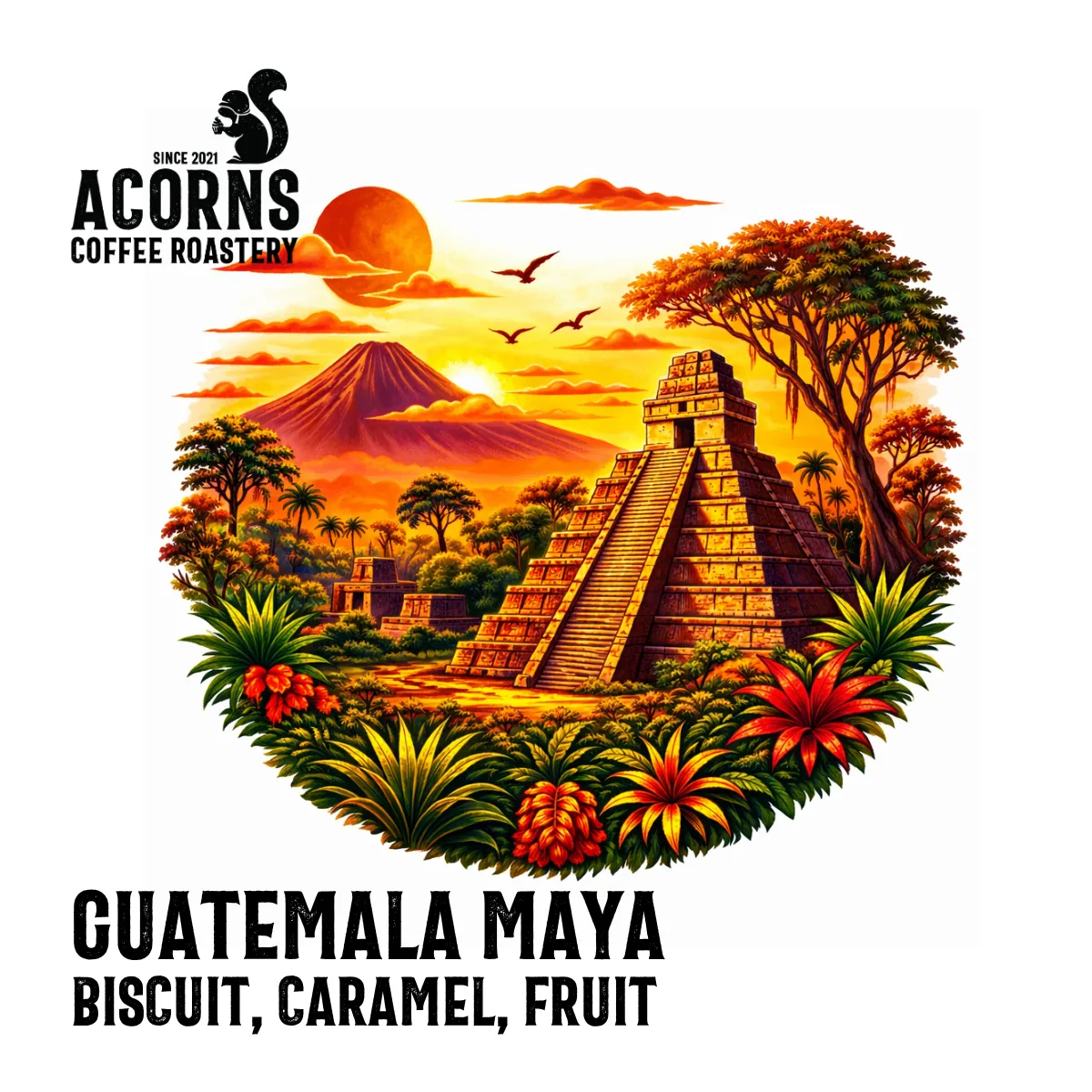 guatemala maya coffee by acorns coffee and cake
