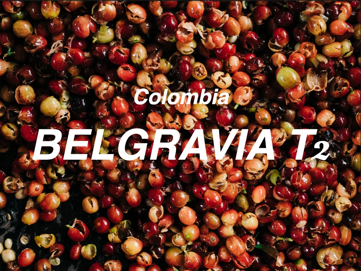 哥倫比亞 寶格麗亞莊園 t2 水洗 (colombia finca belgravia t2 washed) - colombia coffee by moonshine coffee roasters | 私釀咖啡商行 (敦南旗艦店)