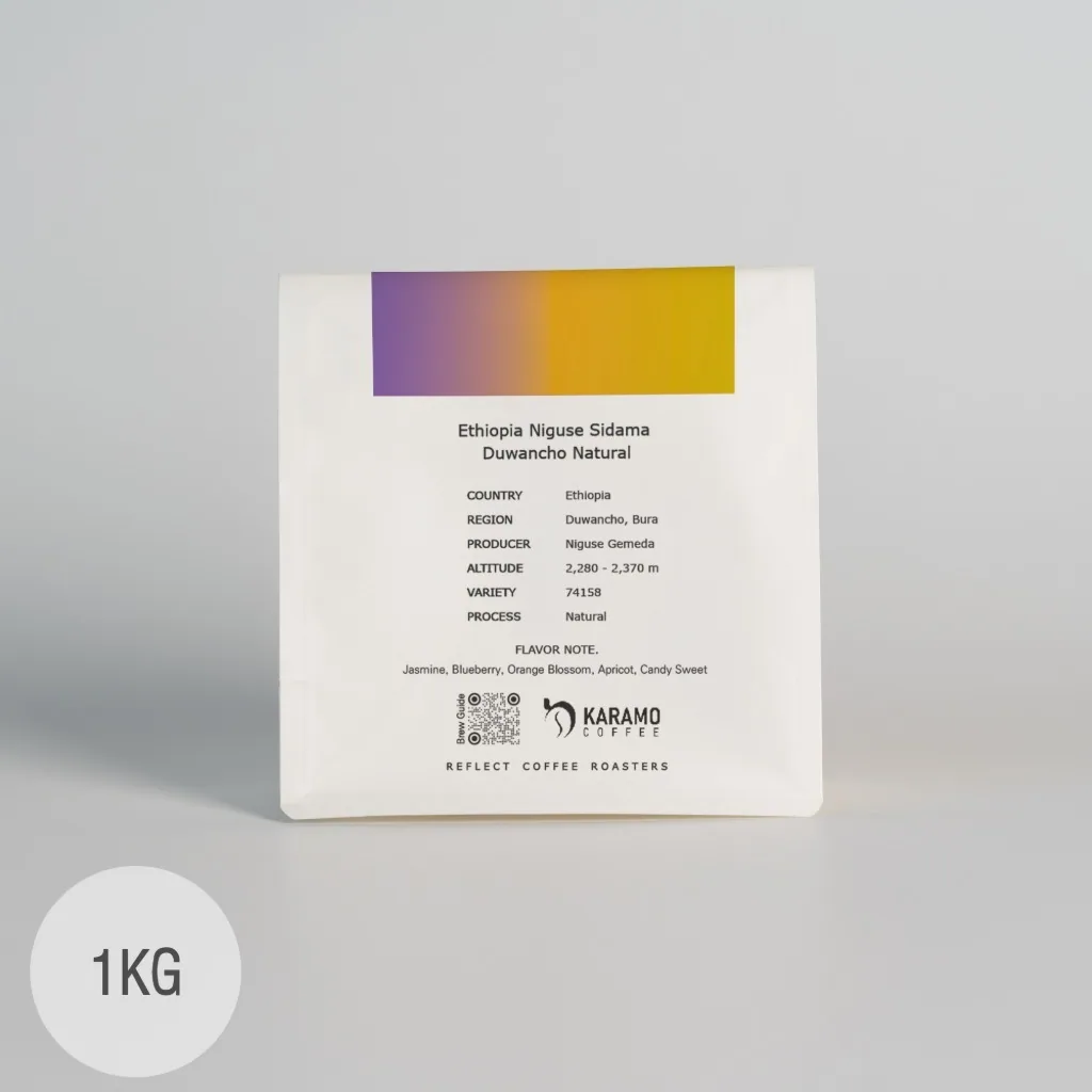 리플렉트커피 에티오피아 니구세 시다마 두완초 내추럴 1kg coffee by reflect coffee roasters