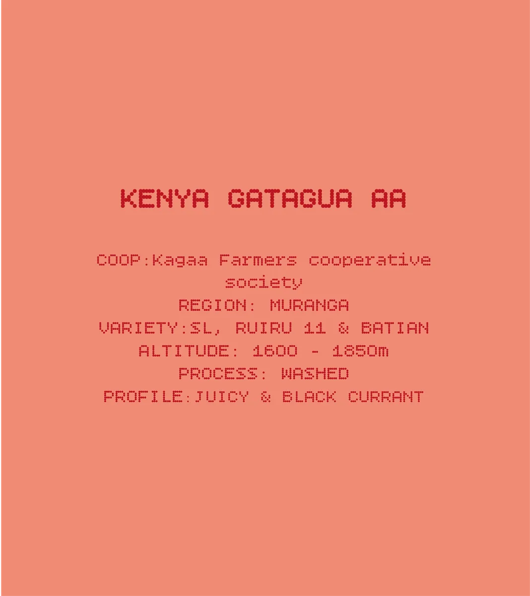 kenya gatagua aa coffee by solkant café & roastery