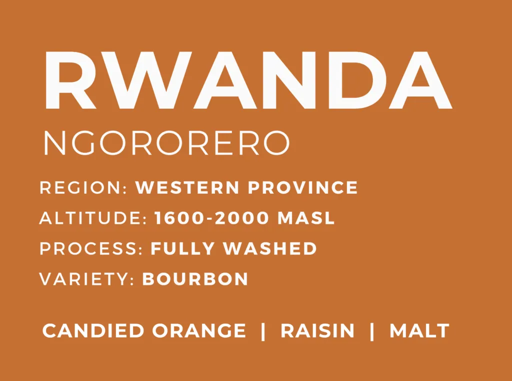 rwanda ngororero coffee by patio coffee roasters