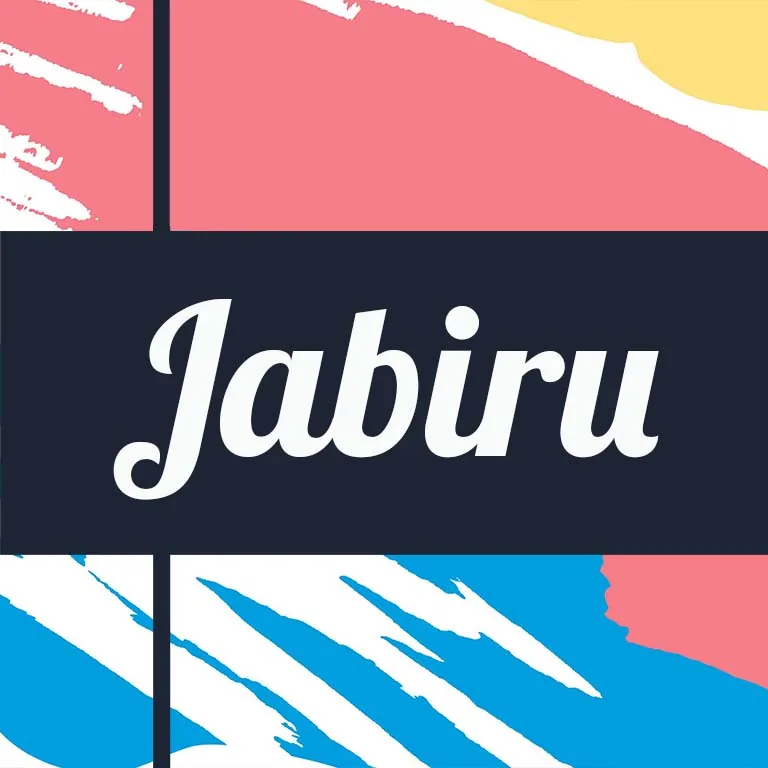 guatemala jabiru coffee by django coffee co.