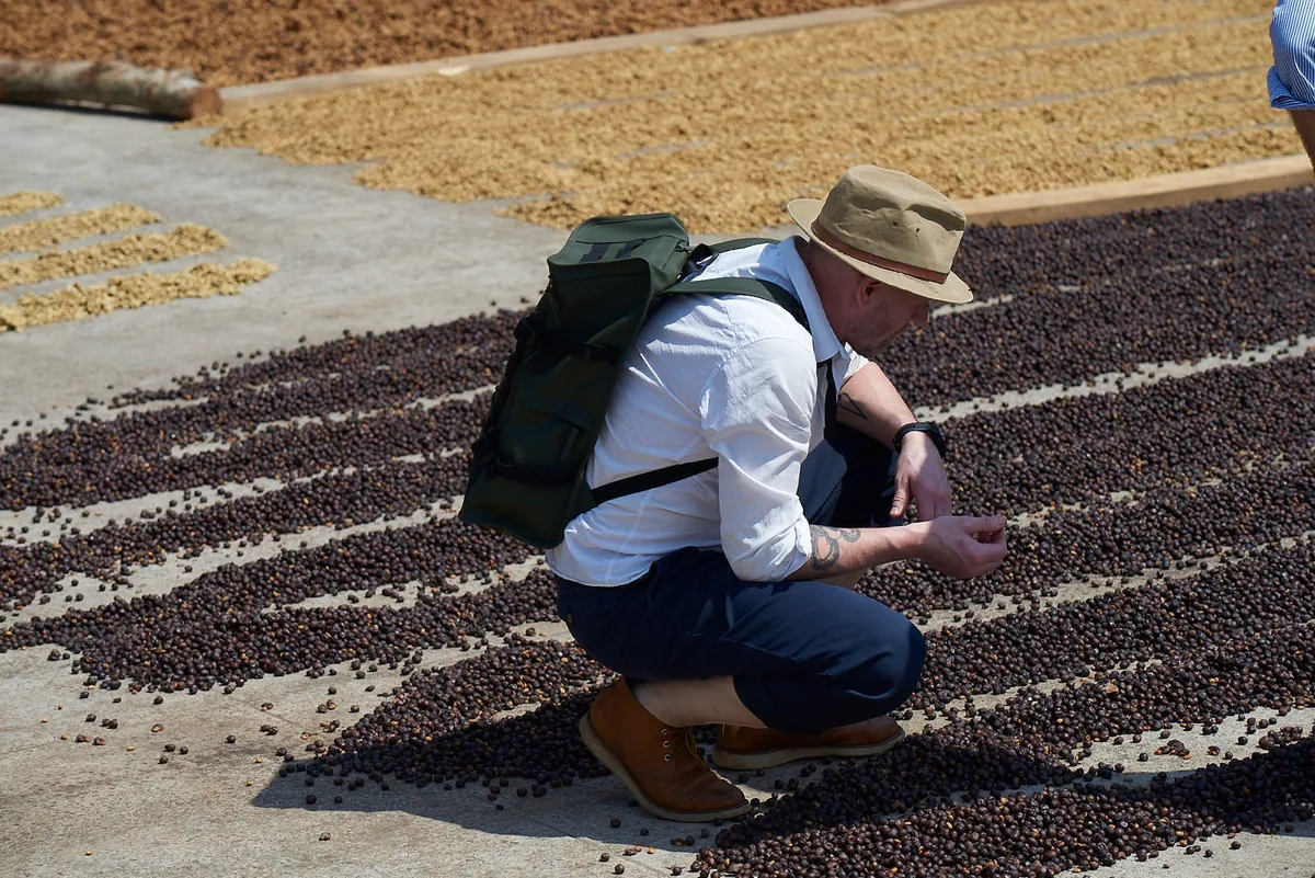 costa rica, cascarra from alejo castro coffee by stillers coffee