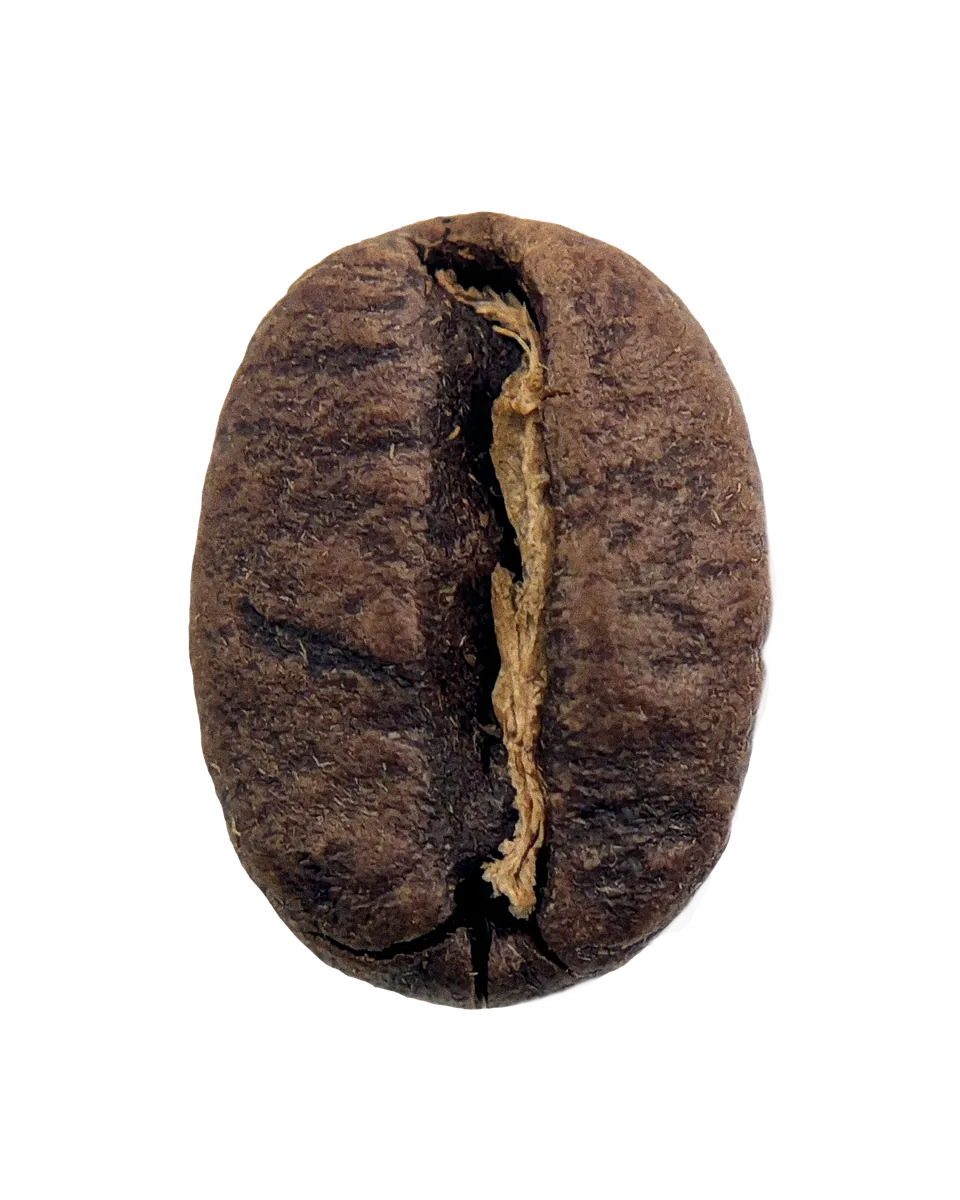 ethiopia, yirgacheffe coffee by herkimer coffee