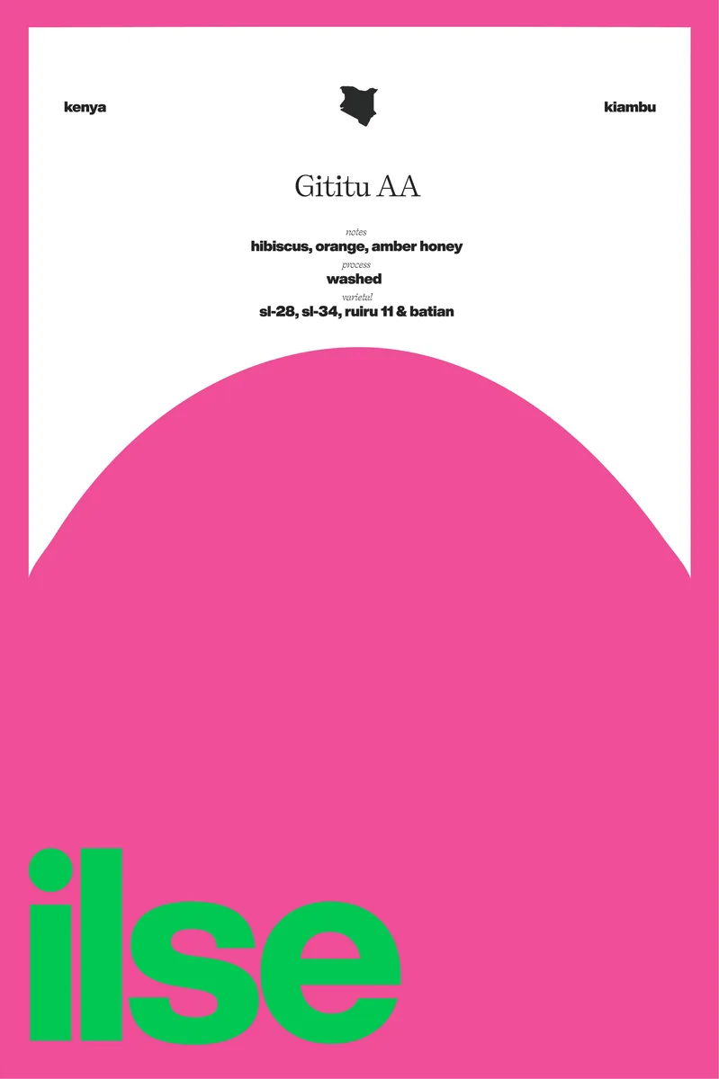 kenya | gititu aa - kenya coffee by ilse coffee