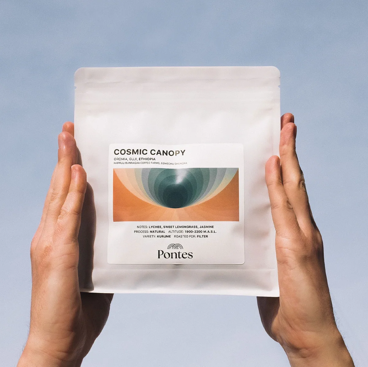 cosmic canopy coffee by pontes roastery & coffee bar