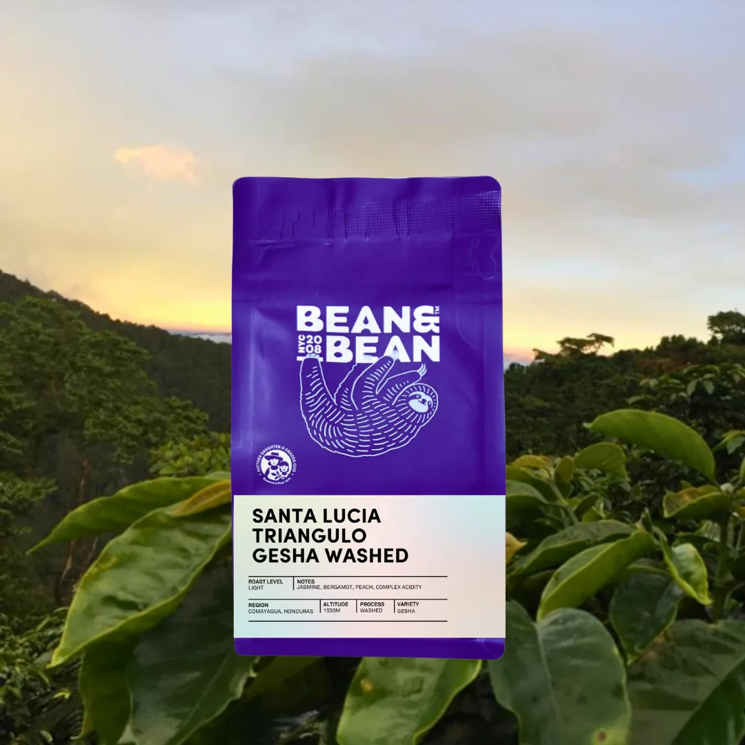 honduras santa lucia triangulo gesha washed coffee by bean & bean queens — roastery & cafe