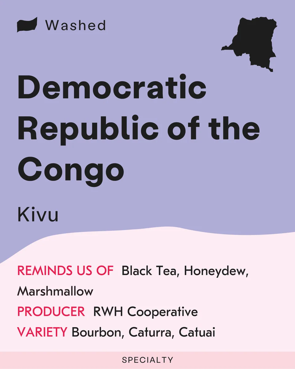 democratic republic of the congo, kivu coffee by sk coffee: whittier