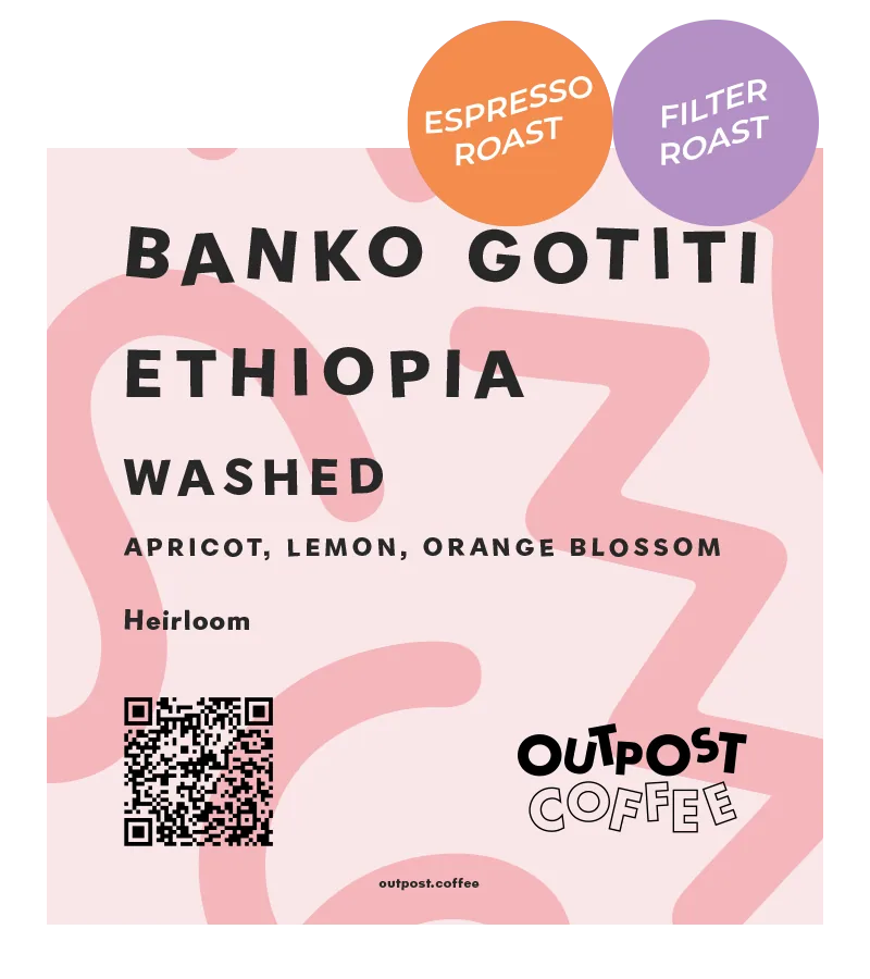 banko gotiti, washed, ethiopia coffee by outpost coffee roasters