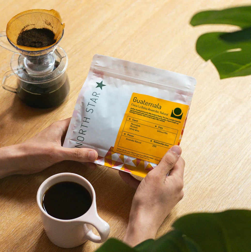 guatemala finca la bolsa anaerobic natural coffee by north star coffee roasters